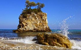 Sea La Vie